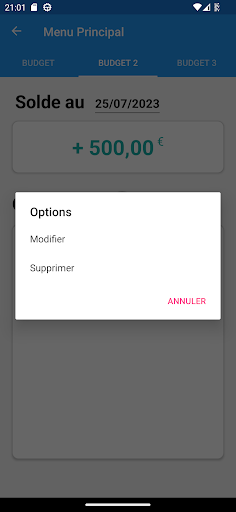 Budget Planner Screen 3