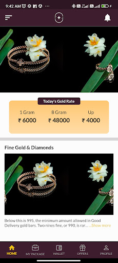Fine Gold & Diamonds Screen 2