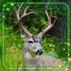 Deer Forest Live Wallpaper – Apps on