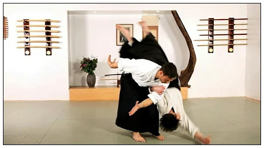 Học aikido và võ thuật
