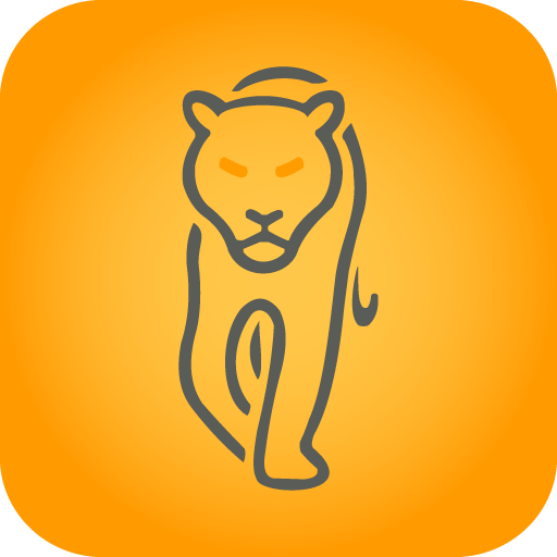Colégio Anglo de Campinas logo