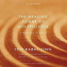 Obraz ikony: The Healing Power of Mindfulness: A New Way of Being