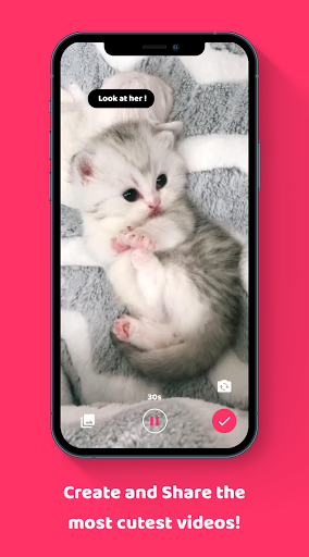 MeowTube - Watch and Share Cat Screen 2