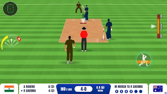 3D Cricket Mania