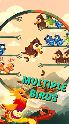 Cute Bird Game:Sorting Puzzleのおすすめ画像1