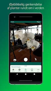 På jorden renhed Sobriquette PlantSnap – Apps i Google Play
