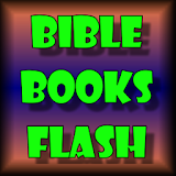 Bible Books Flash Game icon
