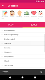 Italian Slovak Offline Dictionary & Translator