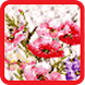 Cross Stitch Flower Pixel