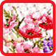 Cross Stitch Flower Pixel Download on Windows