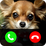 Fake call from dog icon