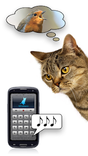 Katzenrufe - Spiel mit deiner Katze! Screenshot