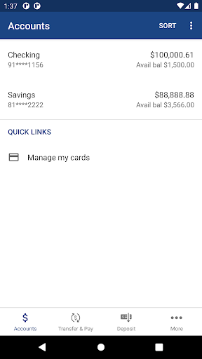 First Minnetonka City Bank Screen 3