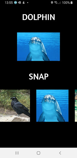 Animal Sounds Screen 3