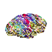 Glitter Brain