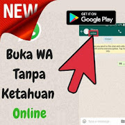 Informasi Cara WA terlihat Offline