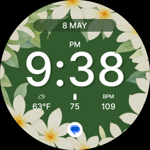 Get Flower Green Spring Watch Face for Android Aso Report