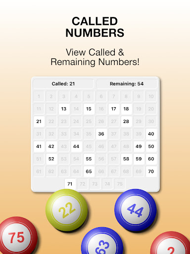 Bingo Go - Caller and Boards