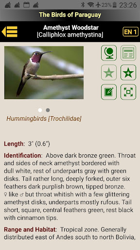 The Birds of Paraguay Screen 2