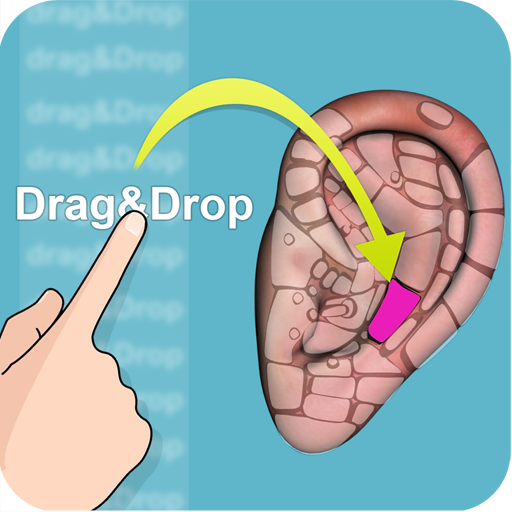 Drag&Drop Reflexology- ears 1.1 Icon