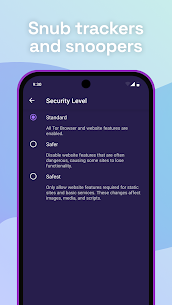 Tor Browser 4