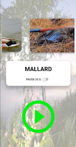 Call duck Screen 2