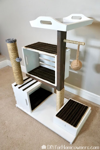 Cat House Screenshot 1 - AppWisp.com