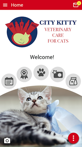 Android application City Kitty Vet screenshort