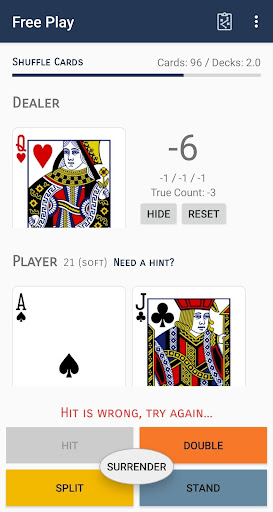 Blackjack Joe Strategy Trainer Screen 2