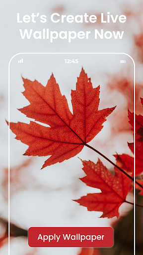 Video Wallpaper Maker HD Screen 3