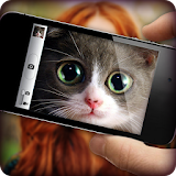 What cat are you? Game & Photo Scanner icon
