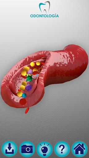 Odontología SR Screen 2
