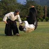 Aikido Windance Dojo Index icon