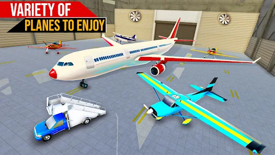 Plane Pilot Flight Simulator