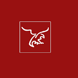 Legal Eagle Software icon