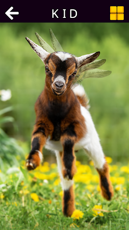 Game screenshot 面白い動物と恐竜 - Funny Animals! hack