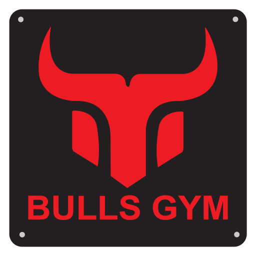 Bulls PT & Boxing Studio logo