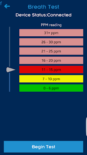 Smokerlyzer Screen 2