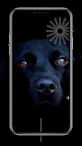 Dogs Live Wallpapers