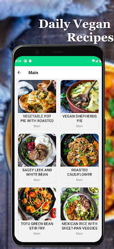 Veganish - Vegan Recipes Screen 3