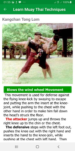 Muay Thai MMA Techniques Screenshot 3 - AppWisp.com