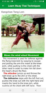 Muay Thai MMA Techniques 13.0.3 screenshots 3