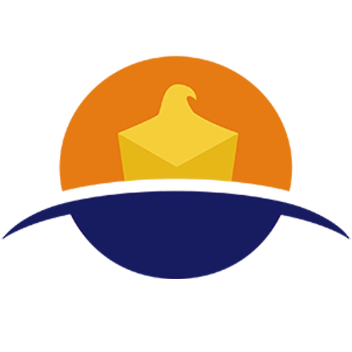 DSJ logo