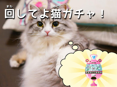 コンプリート！ 猫 メモ 帳 241062
