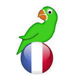 Learn French from scratch icon