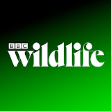 BBC Wildlife Magazine icon