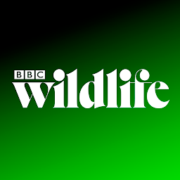 「BBC Wildlife Magazine」圖示圖片
