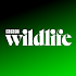 BBC Wildlife Magazine - Animal News, Facts & Photo6.2.12.4