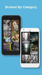Wallstudioz Apk Download For Android | Wall Studioz App 2