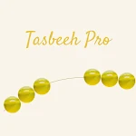 Cover Image of Download Tasbeeh Pro  APK